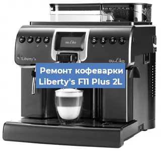 Замена прокладок на кофемашине Liberty's F11 Plus 2L в Тюмени